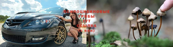 ПСИЛОЦИБИНОВЫЕ ГРИБЫ Алексин