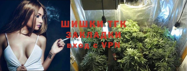 ПСИЛОЦИБИНОВЫЕ ГРИБЫ Алексин
