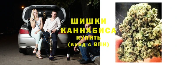 ПСИЛОЦИБИНОВЫЕ ГРИБЫ Алексин
