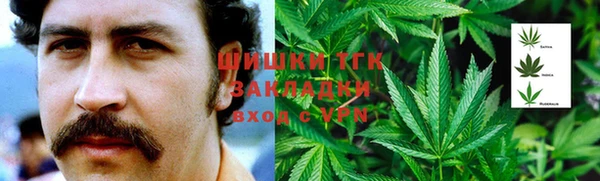 ПСИЛОЦИБИНОВЫЕ ГРИБЫ Алексин