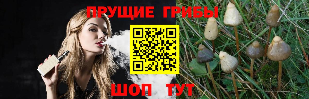 Галлюциногенные грибы Magic Shrooms  Вход с VPN  Нефтеюганск  Галлюциногенные грибы мицелий 